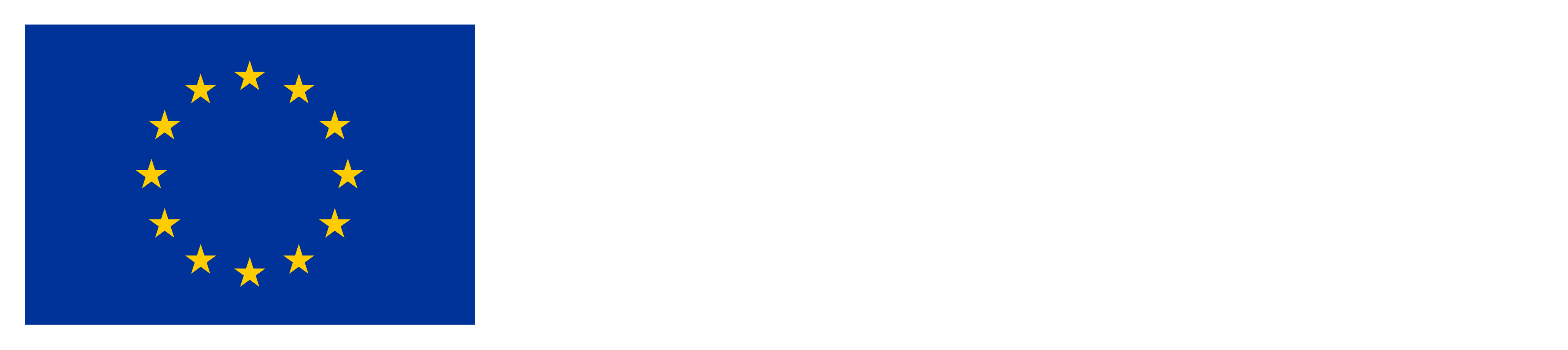 European Union emblem. Co-funded by the European Union.